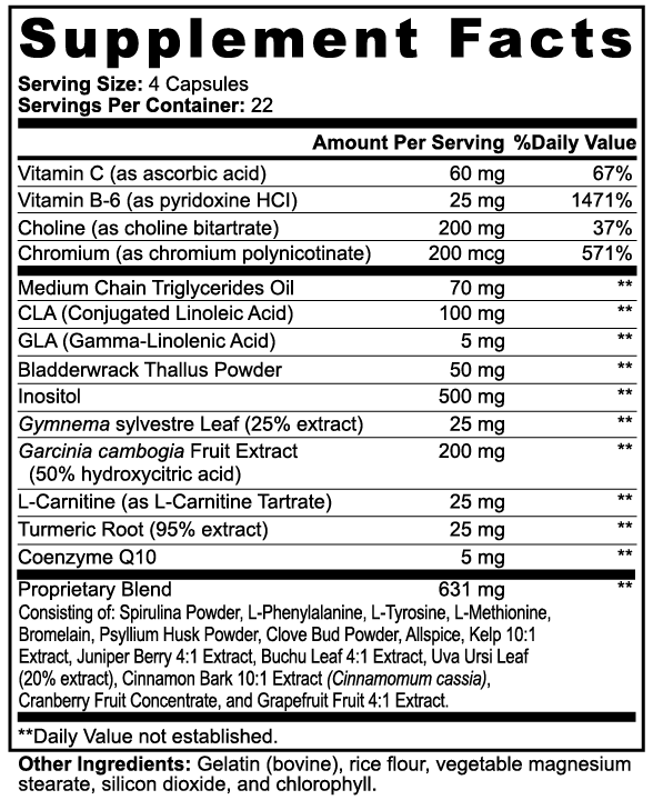 Lean Catalyst