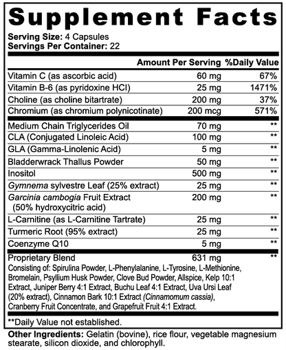 Lean Catalyst